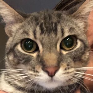 Meet your Posher, Aimee